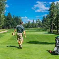 Florida boasts over 1,100 golf courses. Golfing in Florida